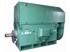 嘉积镇Y系列6KV高压电机品质保证